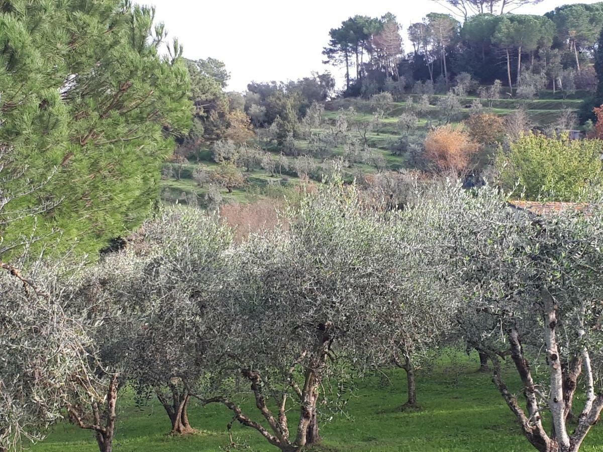 Agriturismo Anna-Rosa Legoli Ngoại thất bức ảnh